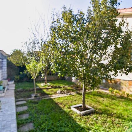 Nuevo - Comodo Y Coqueto Chalet Con Jardin En Argoños Zewnętrze zdjęcie