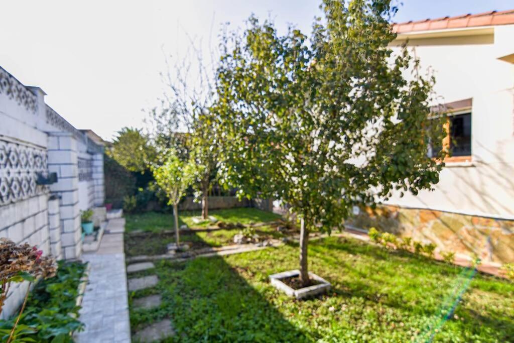 Nuevo - Comodo Y Coqueto Chalet Con Jardin En Argoños Zewnętrze zdjęcie