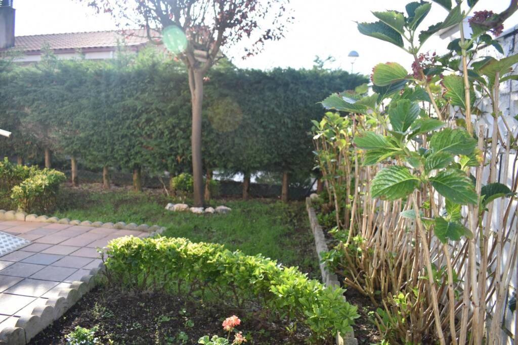 Nuevo - Comodo Y Coqueto Chalet Con Jardin En Argoños Zewnętrze zdjęcie
